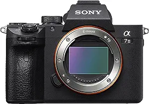 Sony Mirrorless Camera